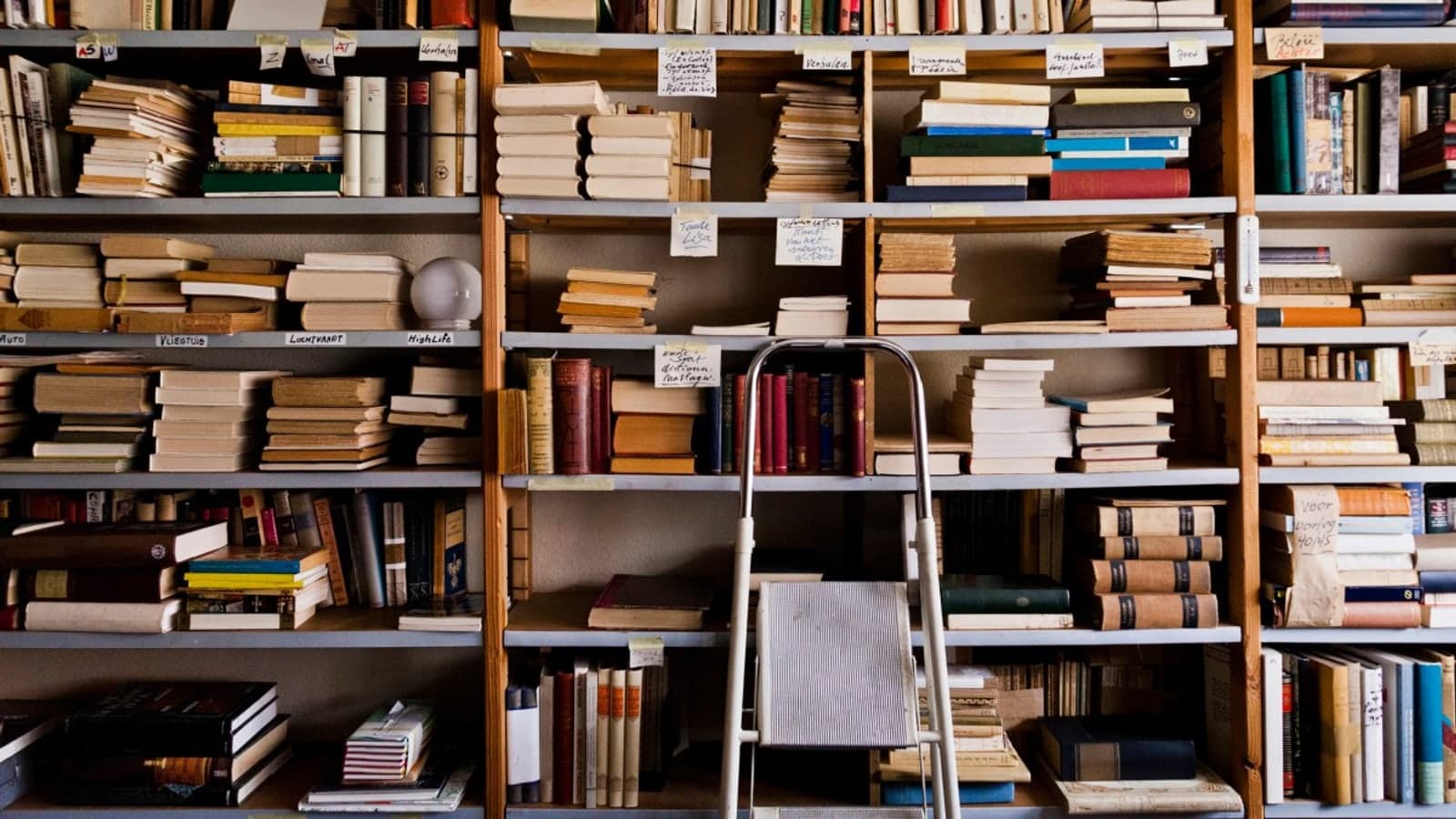 Amazon'un Yapay Zekâ Eğitim Stratejisinde Nadir Eserlerin Rolü